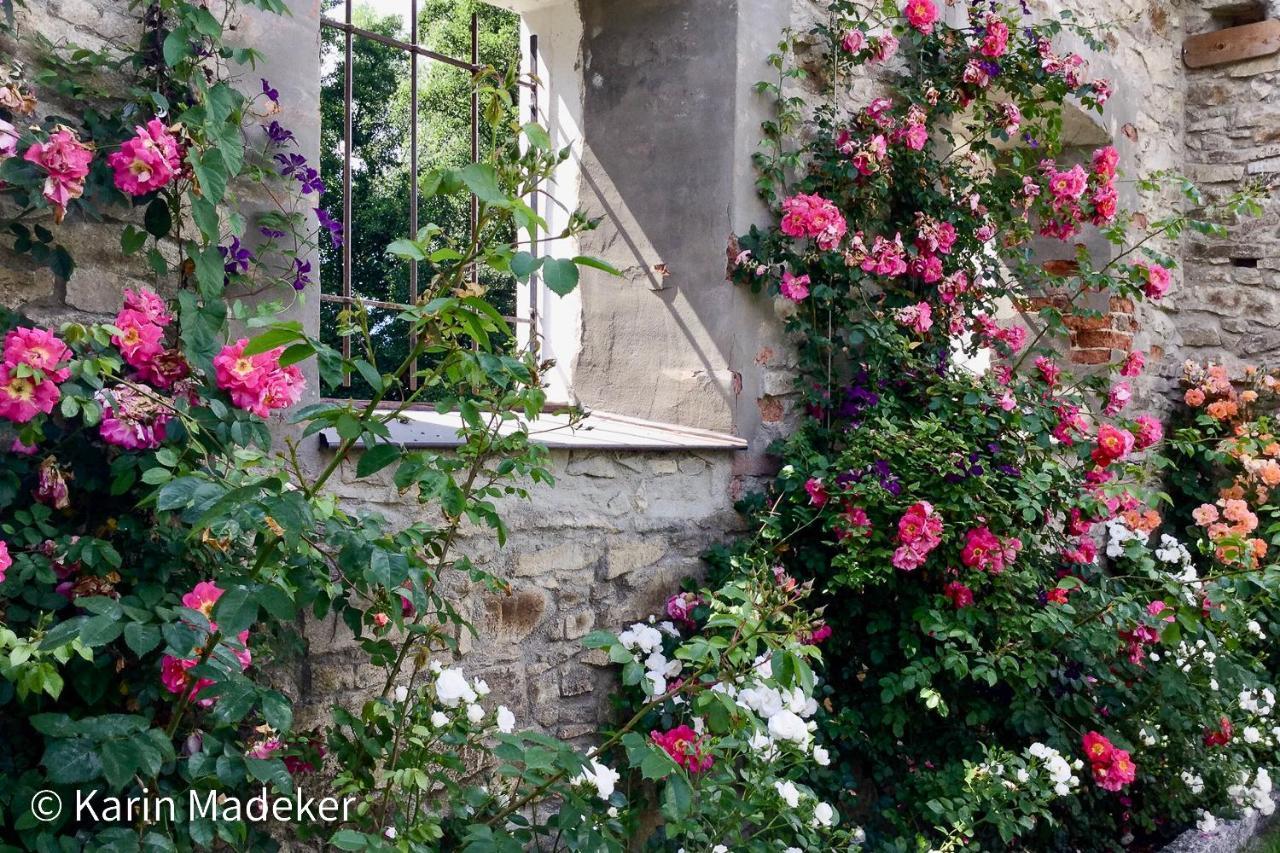 Design Ferienwohnung Mit Bauerngarten Валдкирхен Екстериор снимка