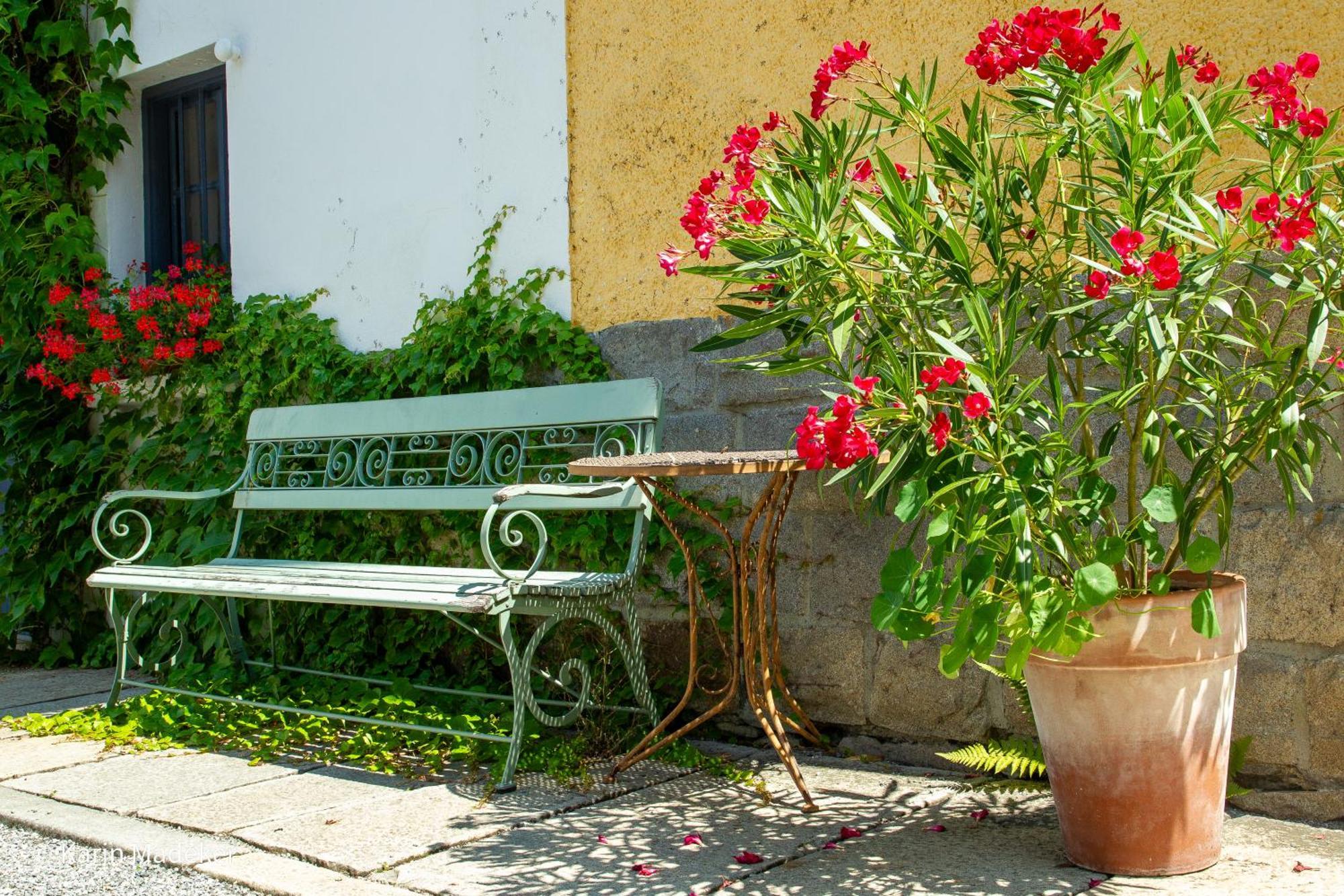 Design Ferienwohnung Mit Bauerngarten Валдкирхен Екстериор снимка